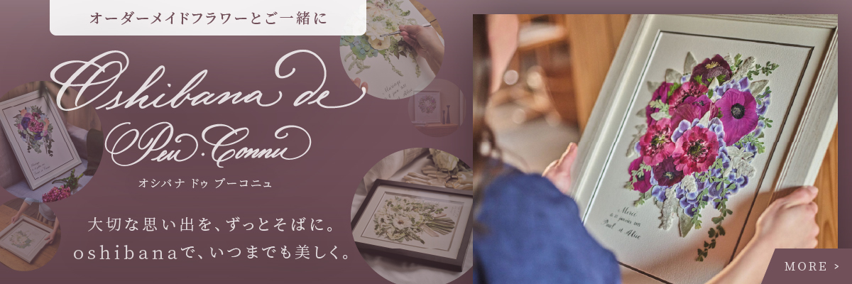 オシバナ ドゥ プーコニュへの送客バナー