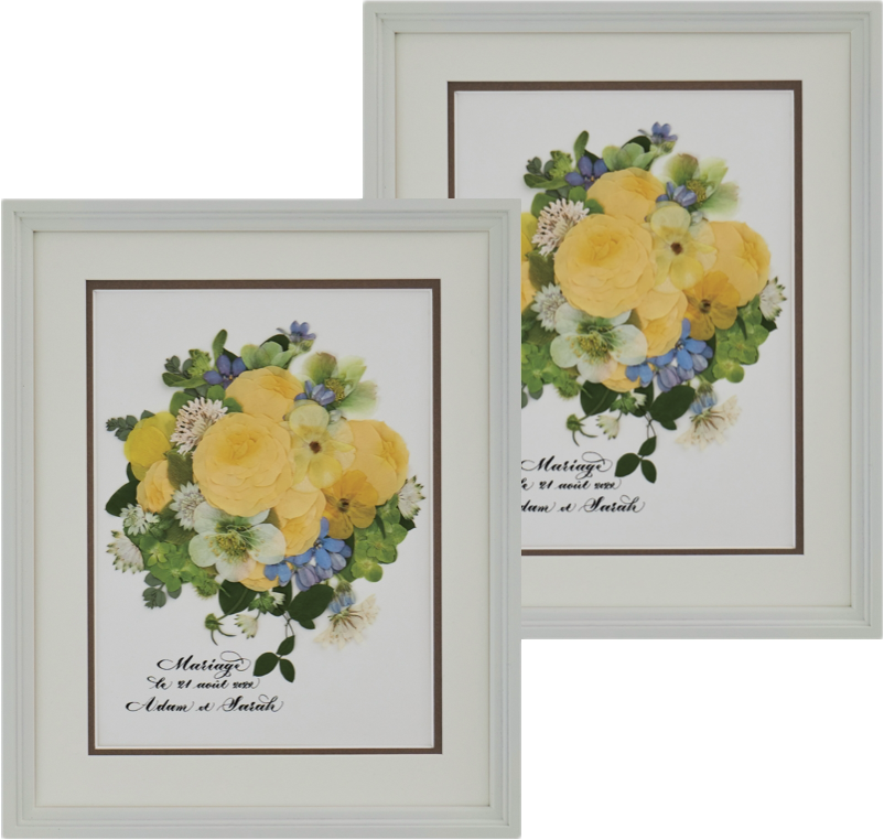 セパレ 2セット